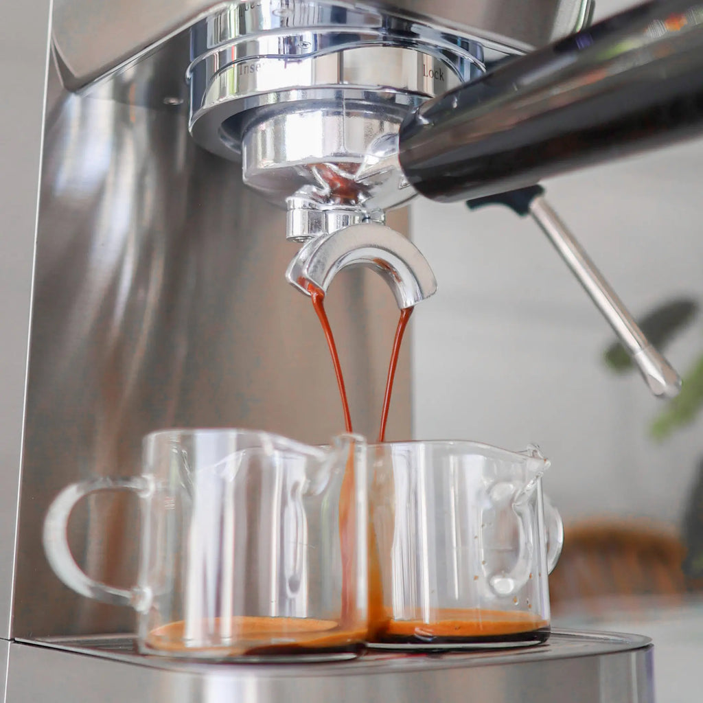 Wirsh 20 Bar Espresso Machine